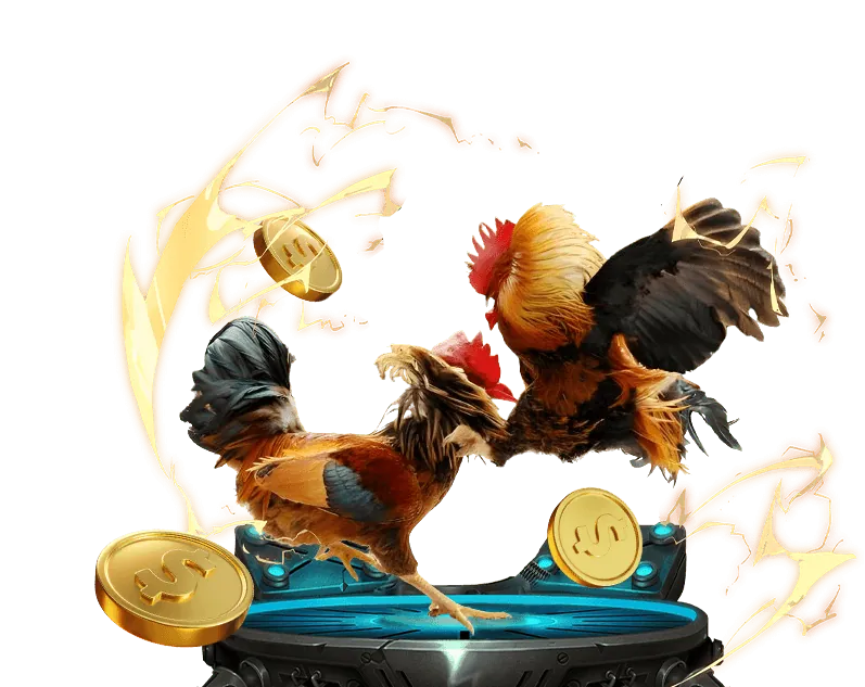 Hoàn trả thể thao 18vn